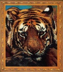 Сибирский тигр  jw-005
